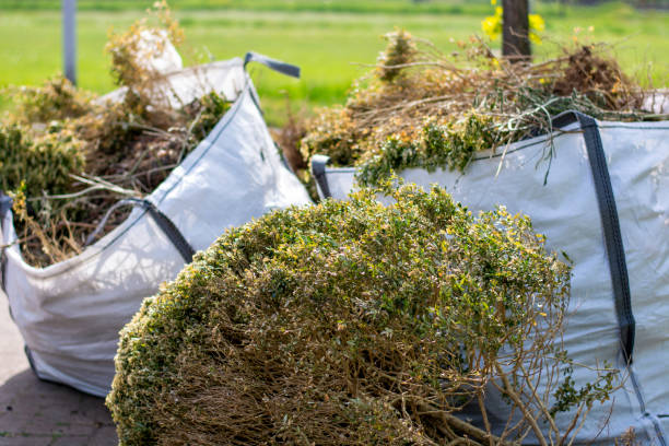 Attic Cleanout Services in Loretto, PA
